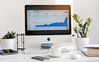 PG 斗鸡：PG 斗鸡竞技游戏 斗技技巧与冠军争夺攻略汇总